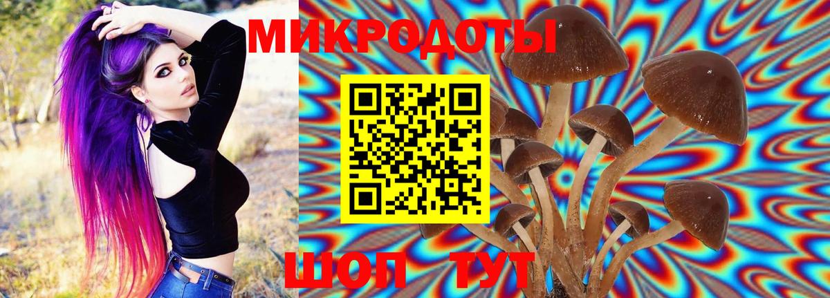 Великий Устюг  Галлюциногенные грибы мухоморы  Вход с VPN 