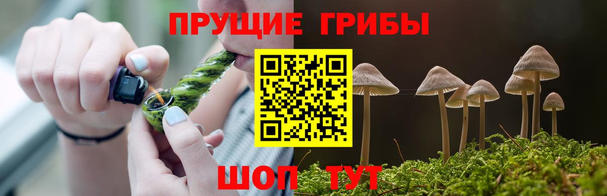 Псилоцибиновые грибы GOLDEN TEACHER Великий Устюг