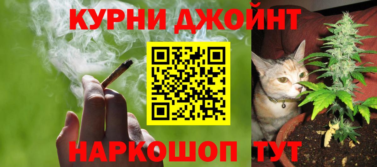 Каннабис планчик Великий Устюг
